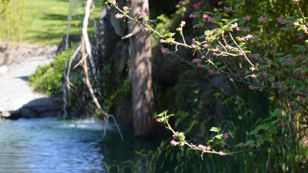 Photo of Outdoor in Clear Lake