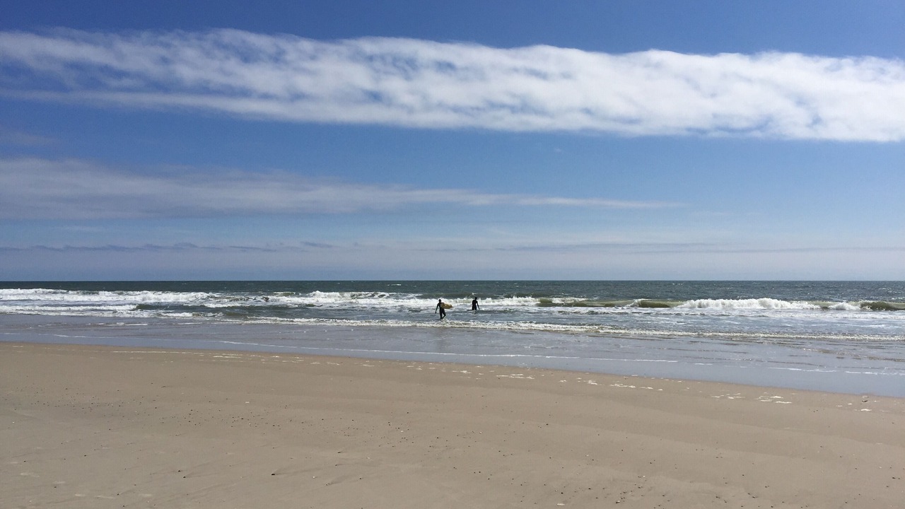 Photo of Others in Mastic Beach