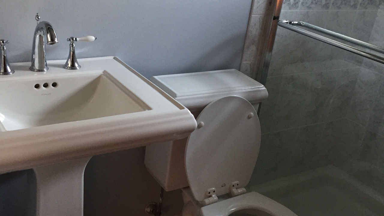 Photo of Bathroom in Mastic Beach