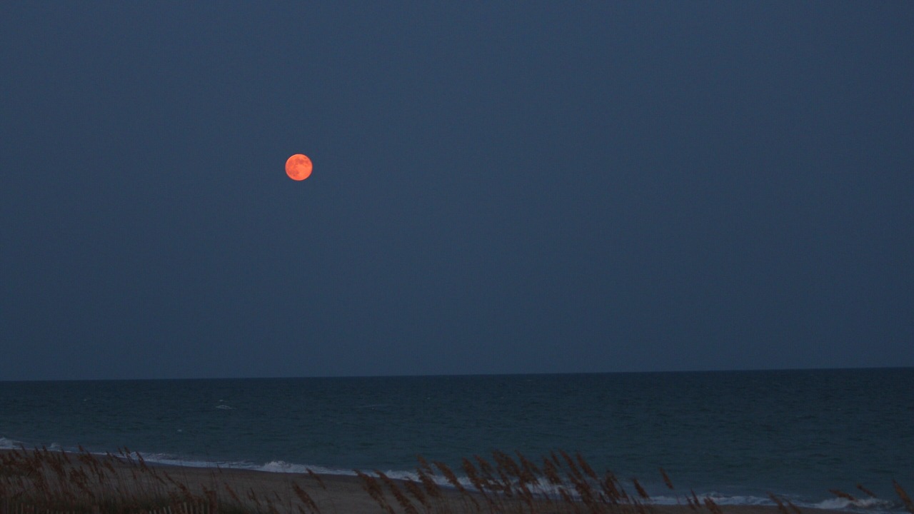 Photo of Others in Emerald Isle