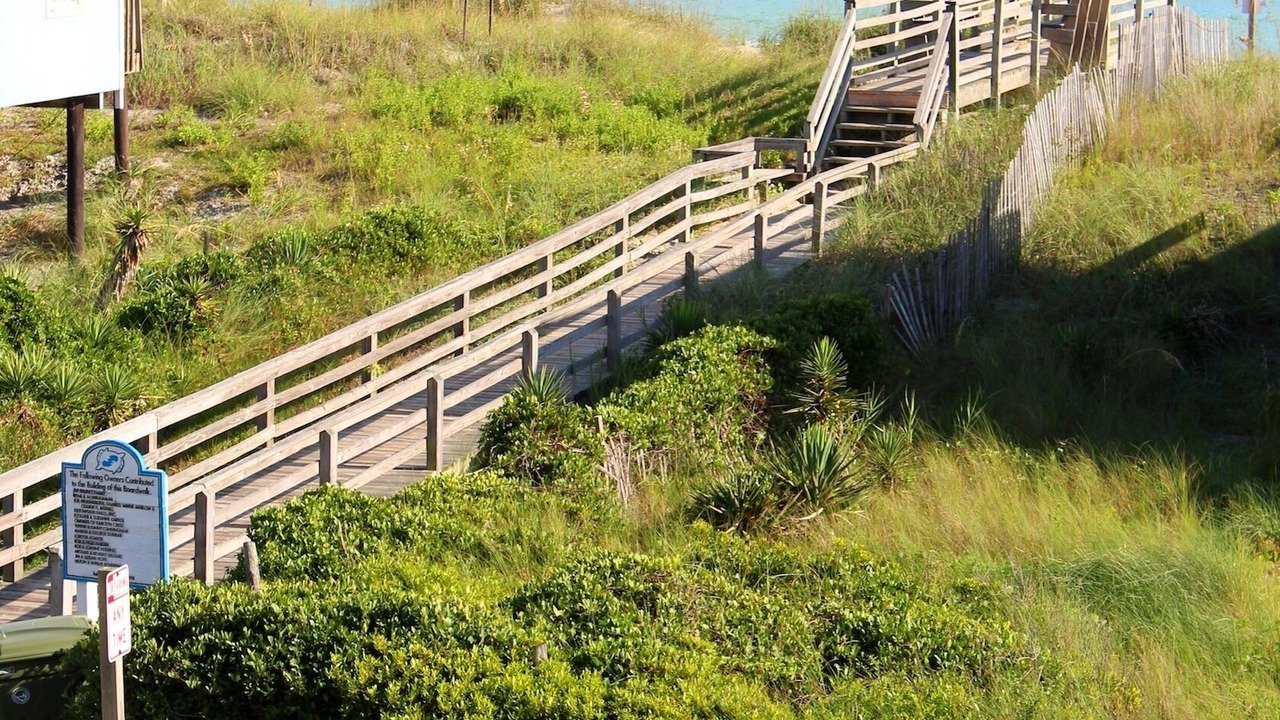 Photo of Others in Emerald Isle