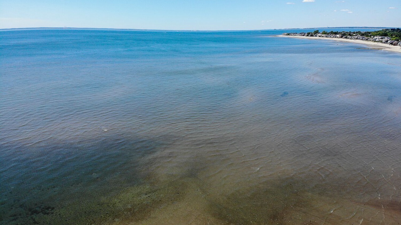 Photo of Others in Fairfield