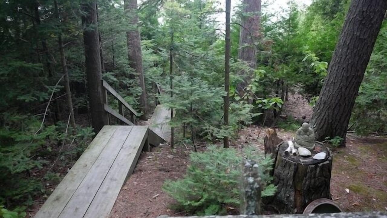 Photo of Outdoor in Leland
