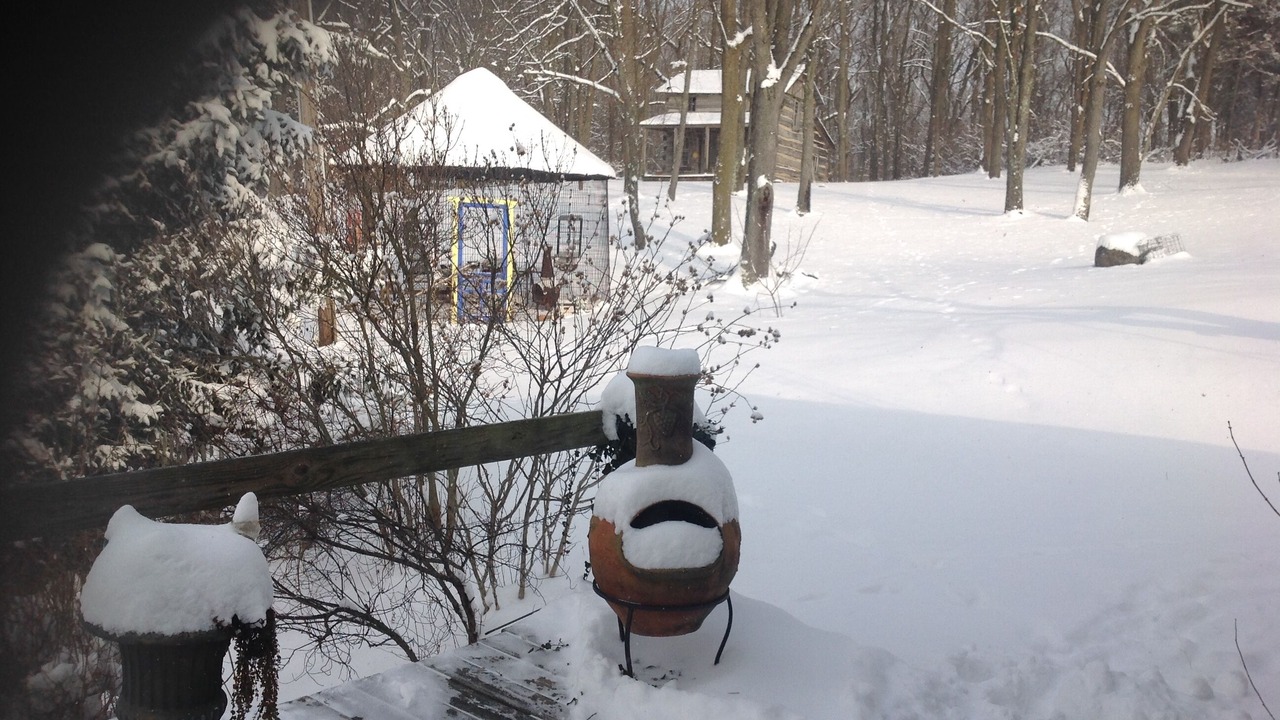 Photo of Outdoor in Richmond