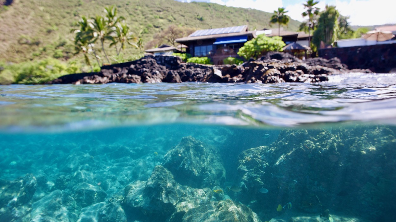 Photo of Outdoor in Honaunau-Napoopoo