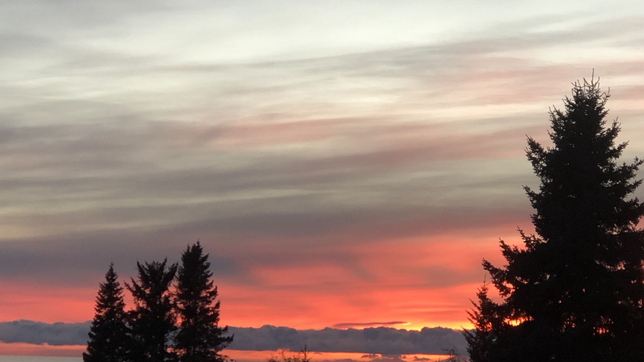 Photo of Others in Homer