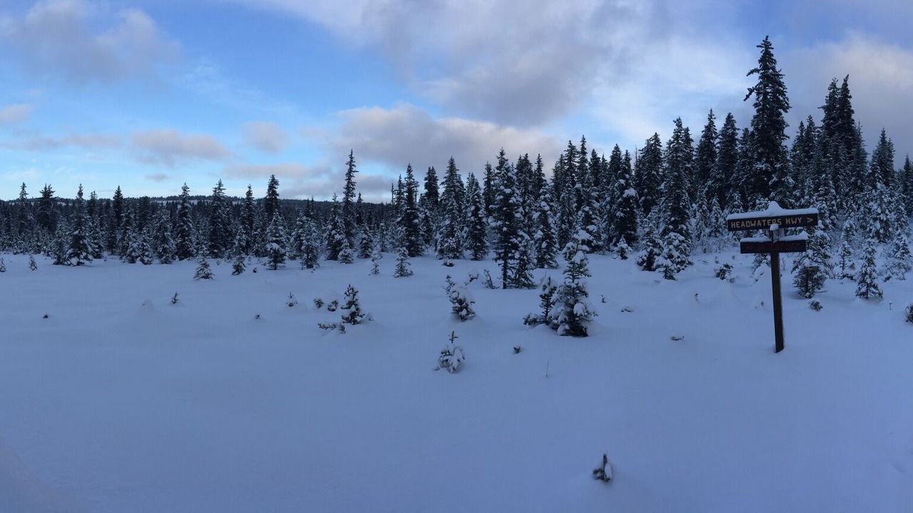 Photo of Others in Homer