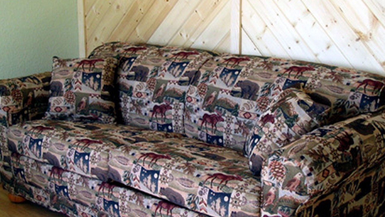 Photo of Livingroom in Homer