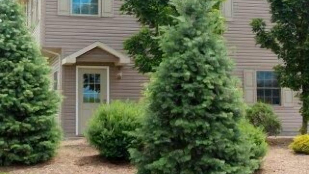 Photo of Outdoor in Mansfield