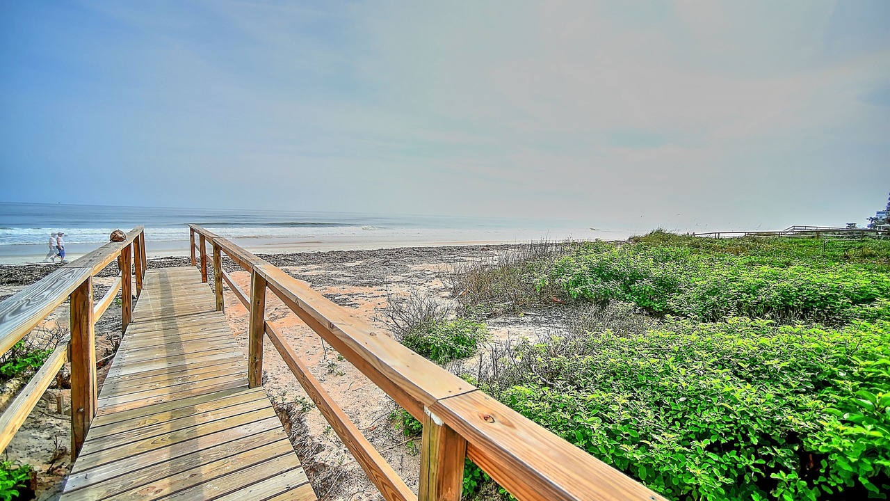 Photo of Others in O'byrne