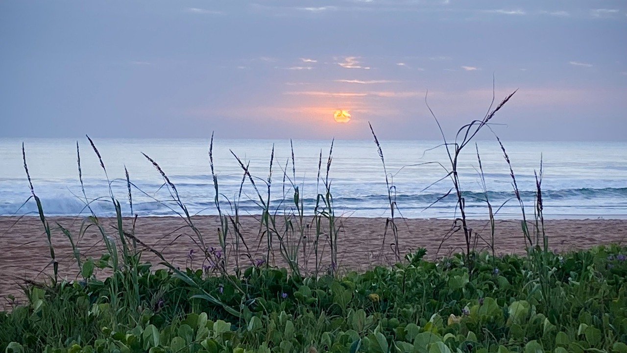 Photo of Others in O'byrne