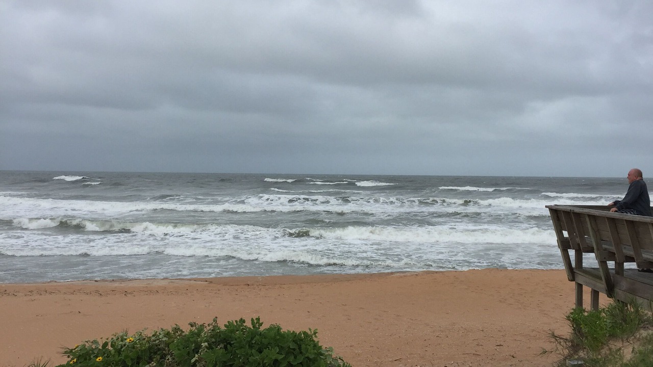 Photo of Others in O'byrne