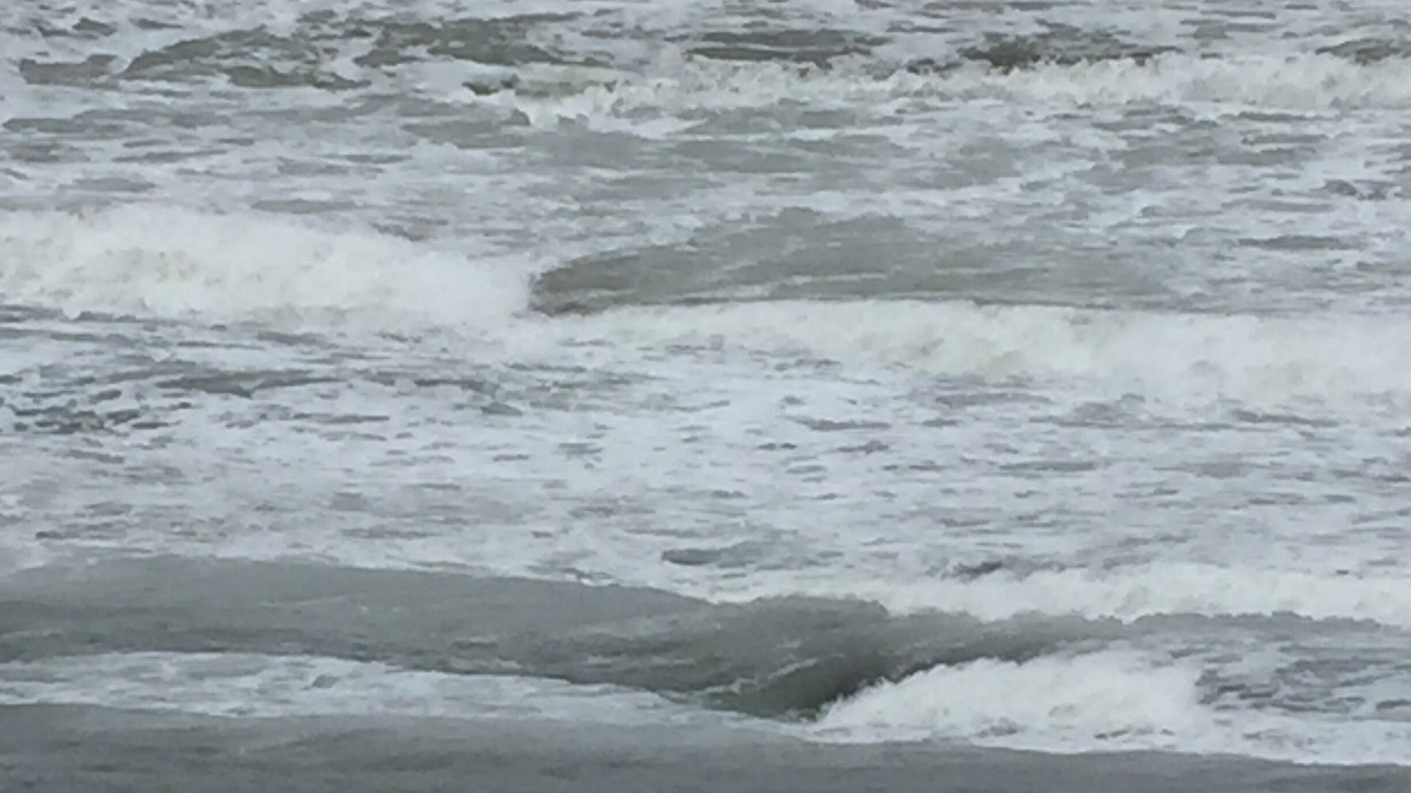 Photo of Others in O'byrne