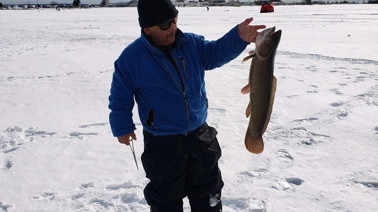 Photo of Others in Pulaski