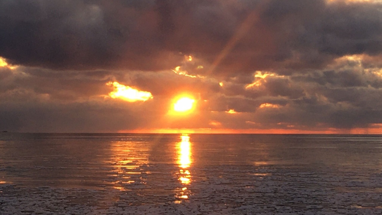 Photo of Others in Pulaski