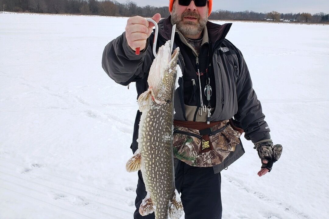 Photo of Others in Pulaski