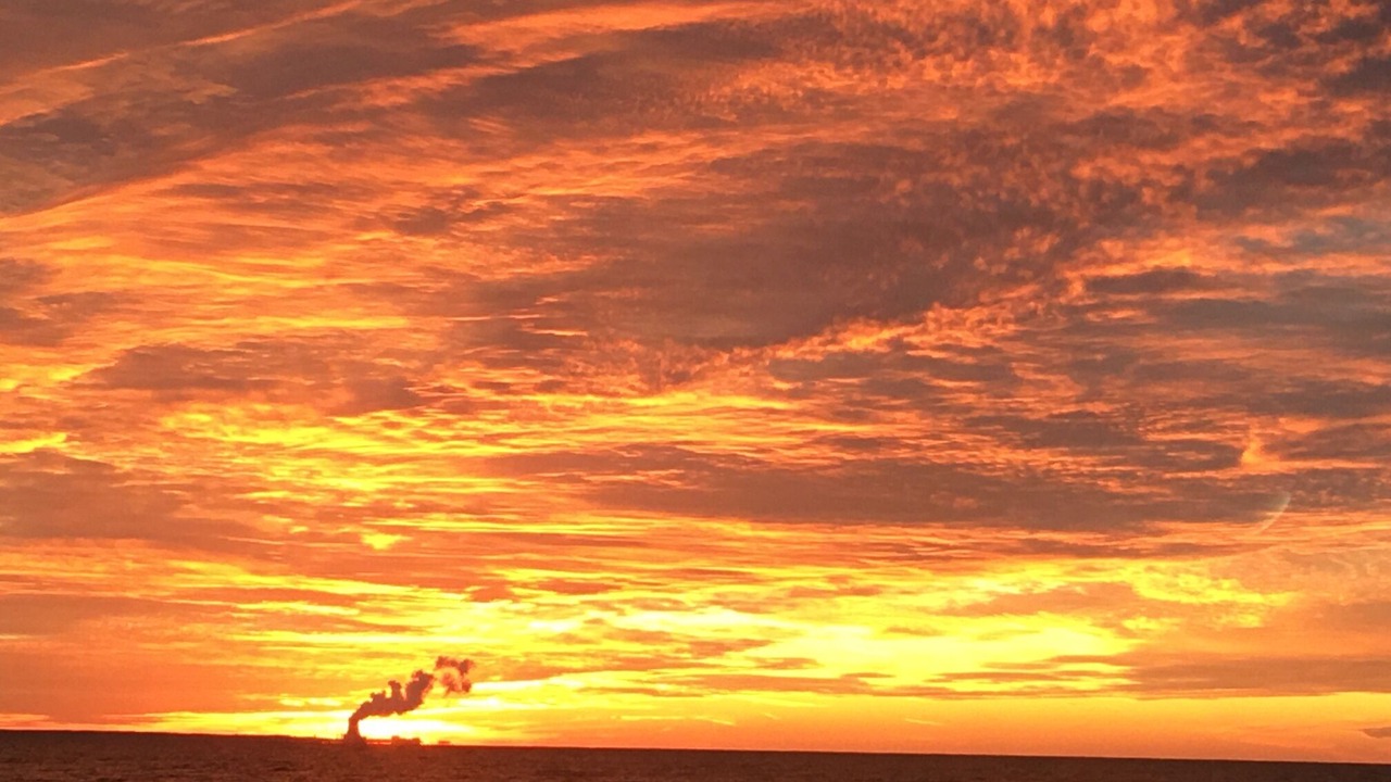 Photo of Others in Pulaski