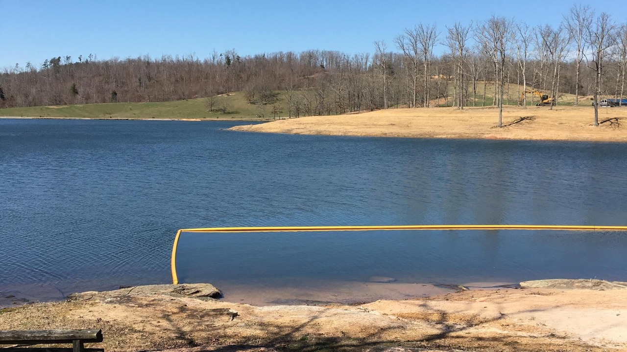 Photo of Others in Muddy Pond