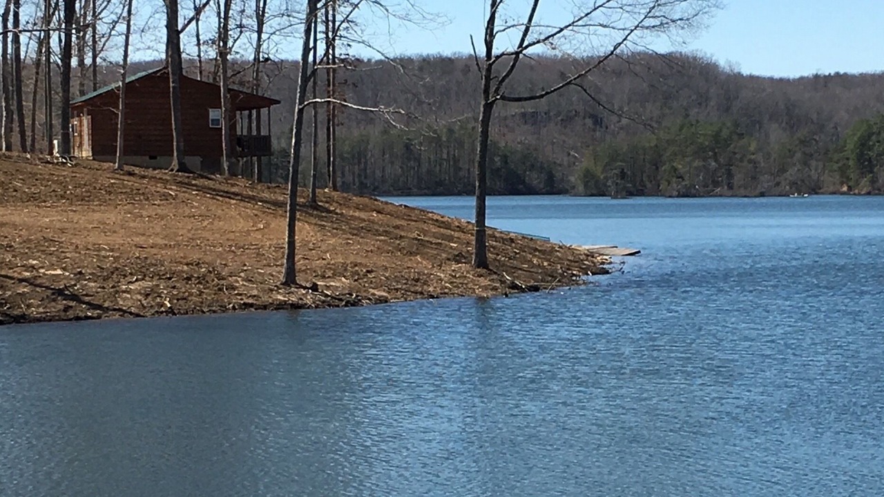 Photo of Others in Muddy Pond