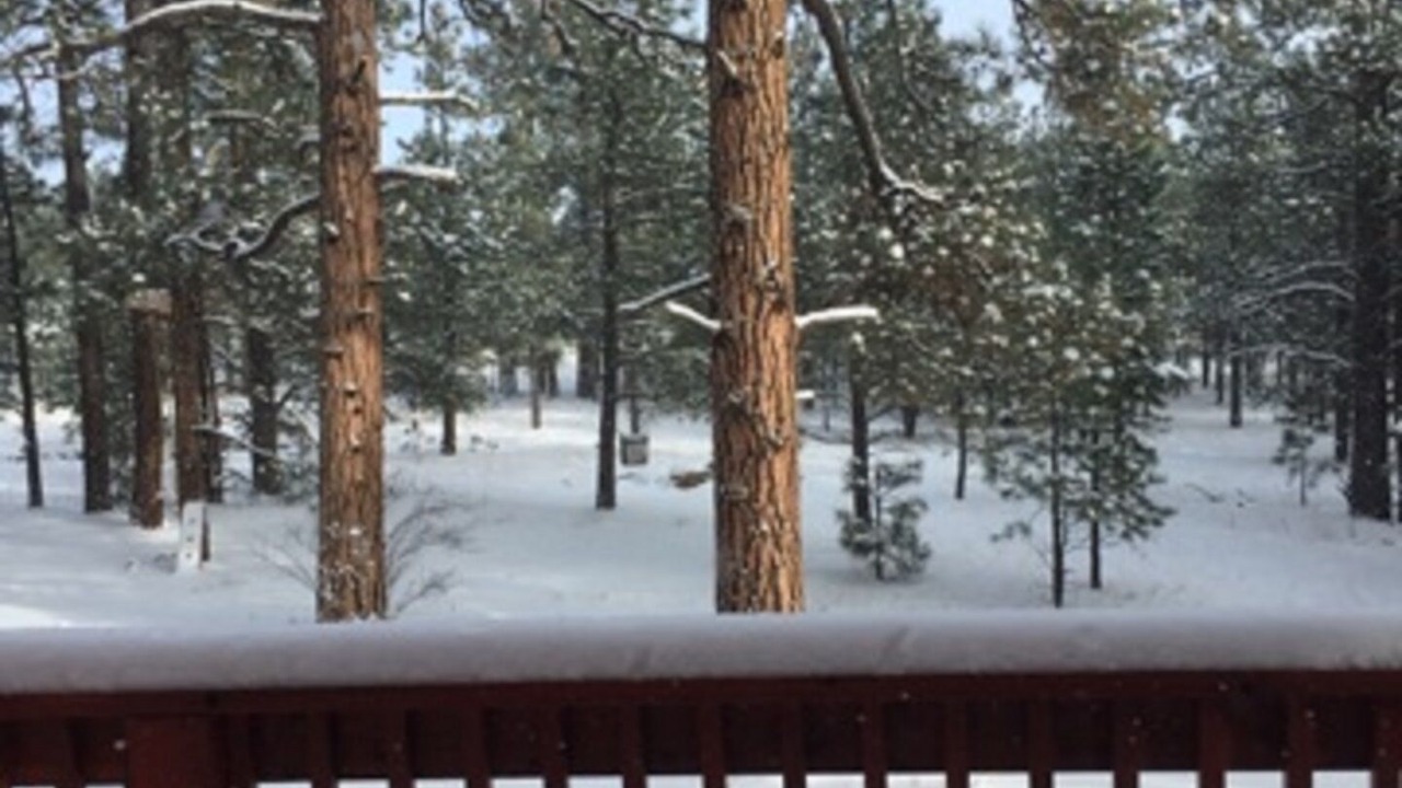 Photo of Outdoor in Greer