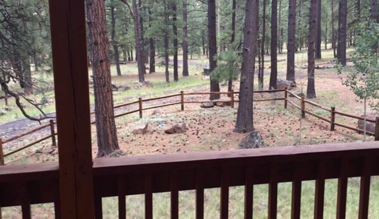 Photo of Outdoor in Greer