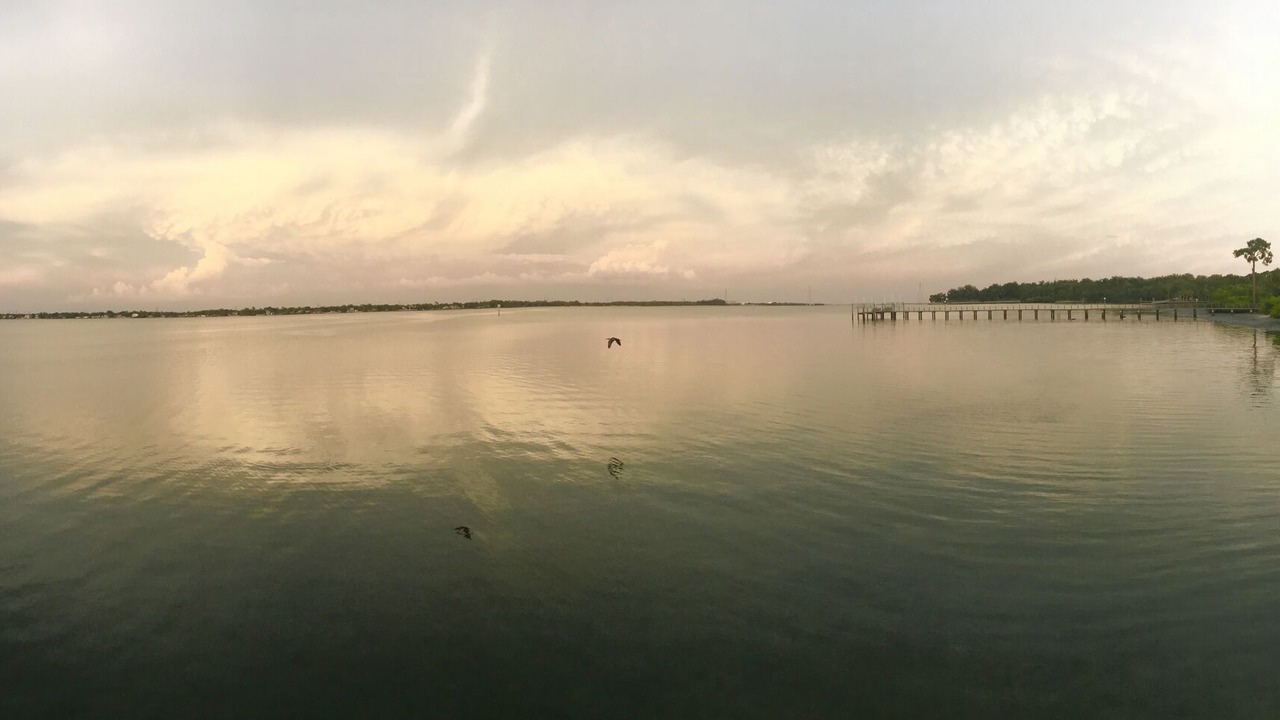 Photo of Outdoor in Safety Harbor