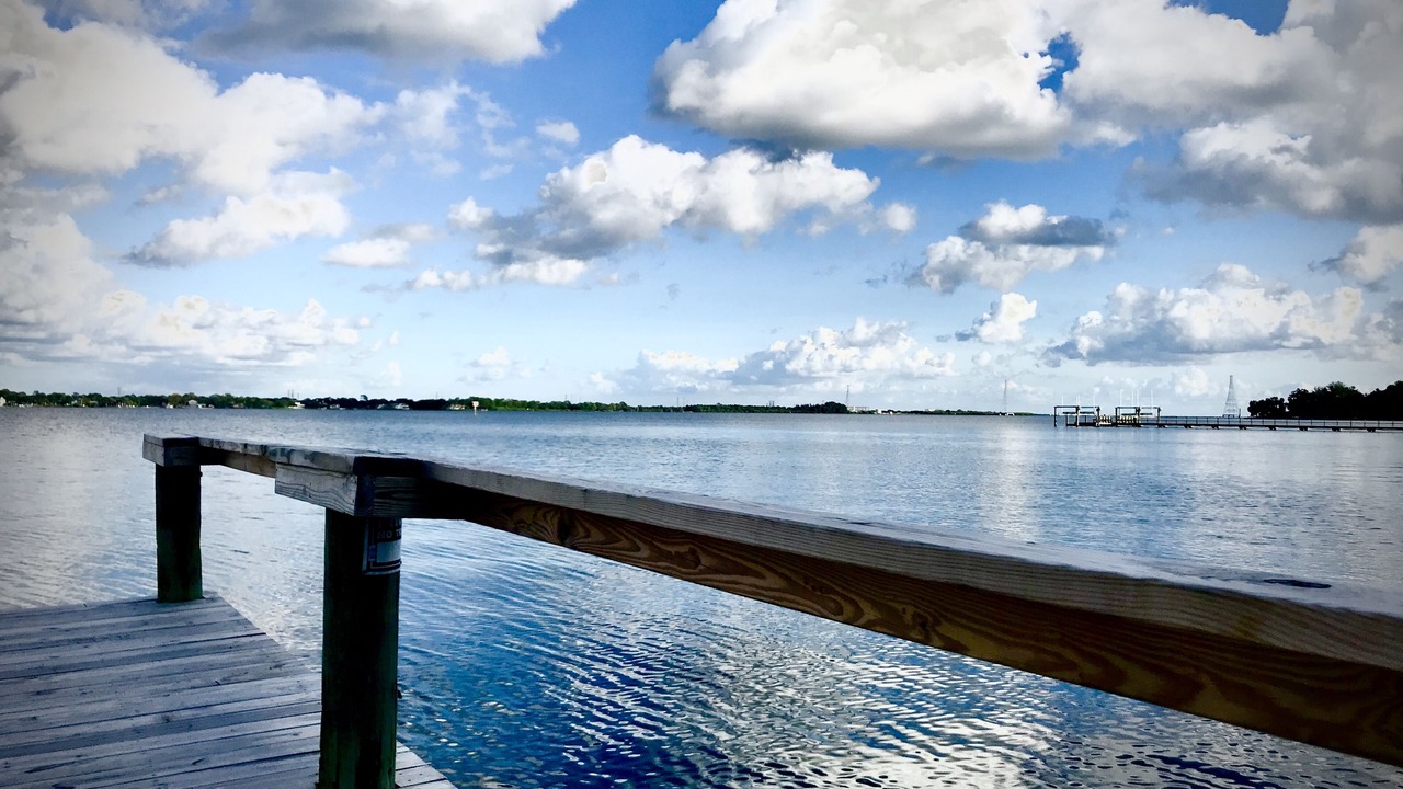 Photo of Others in Safety Harbor