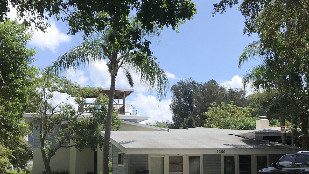 Photo of Others in Safety Harbor