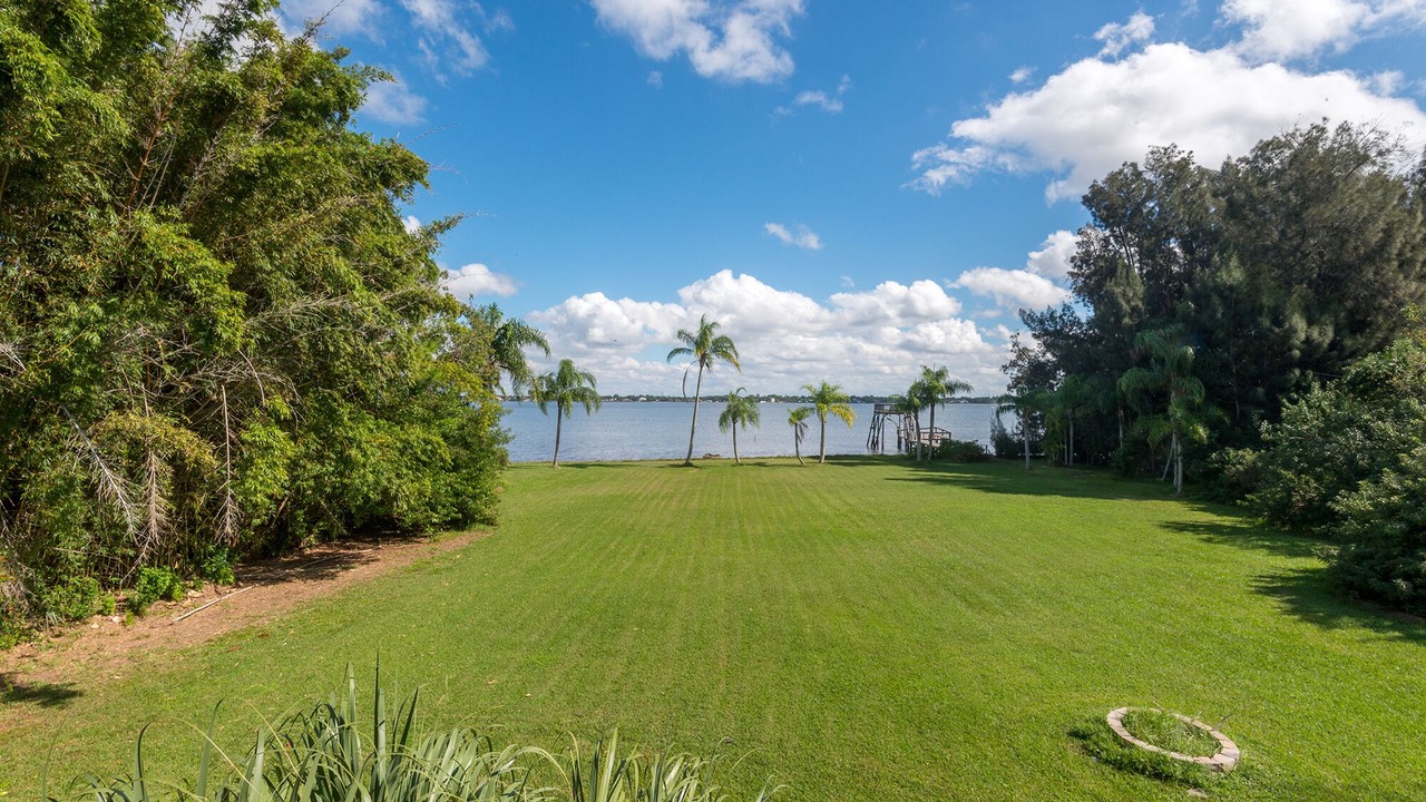 Photo of Others in Safety Harbor