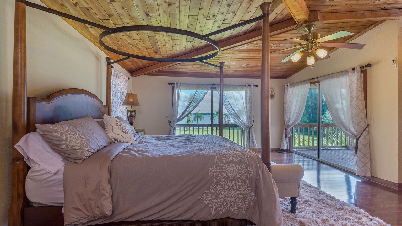 Photo of Others in Safety Harbor