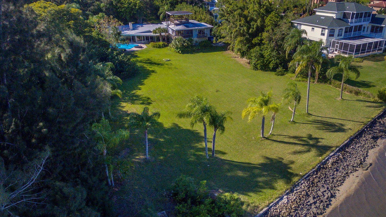 Photo of Others in Safety Harbor