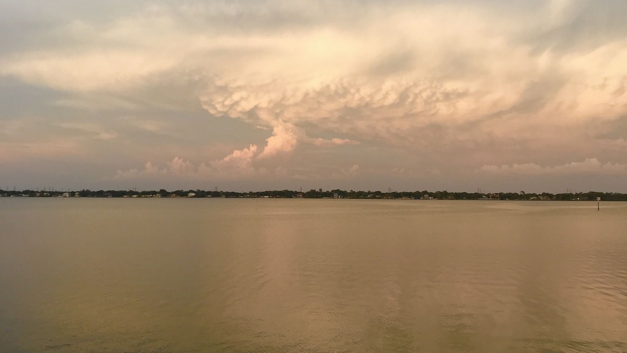 Photo of Outdoor in Safety Harbor