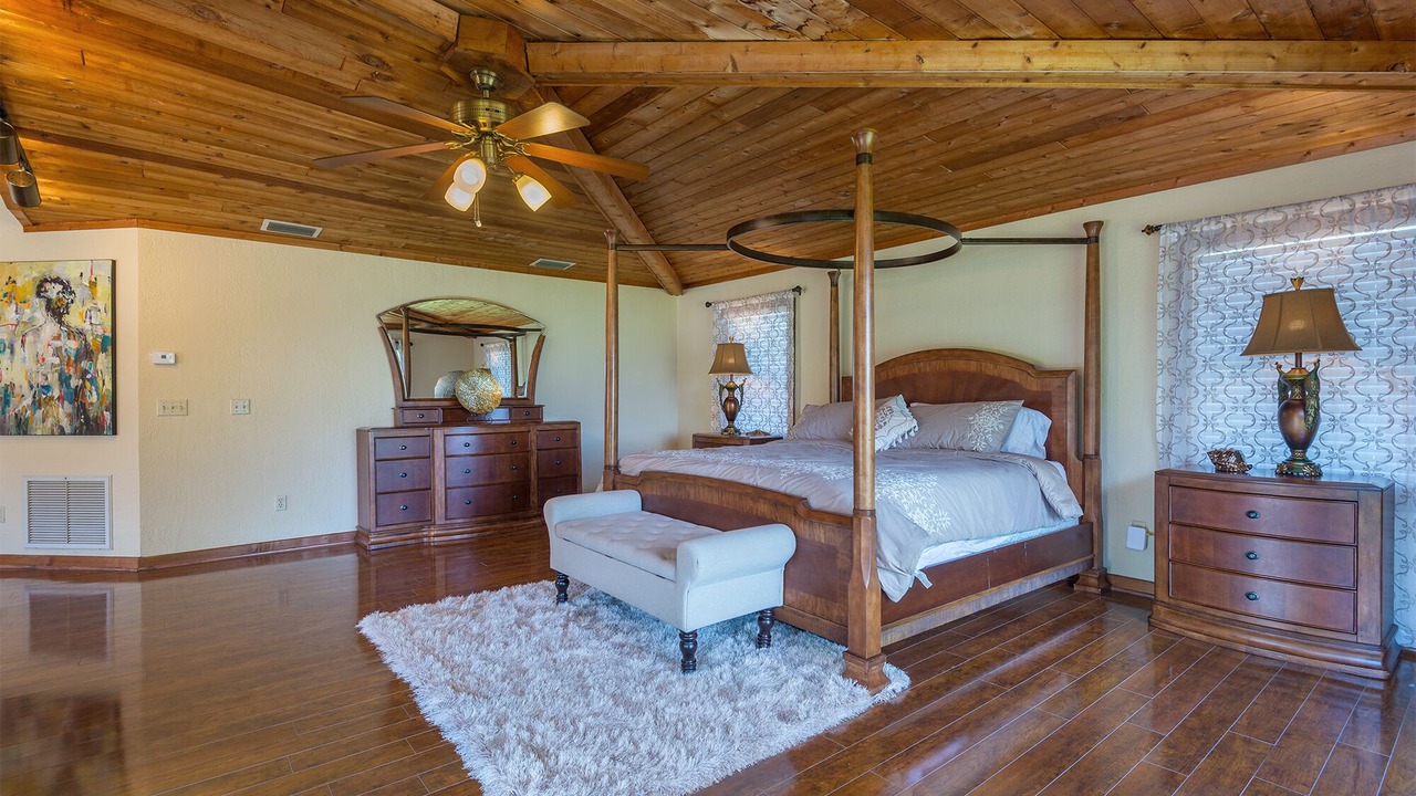 Photo of Others in Safety Harbor