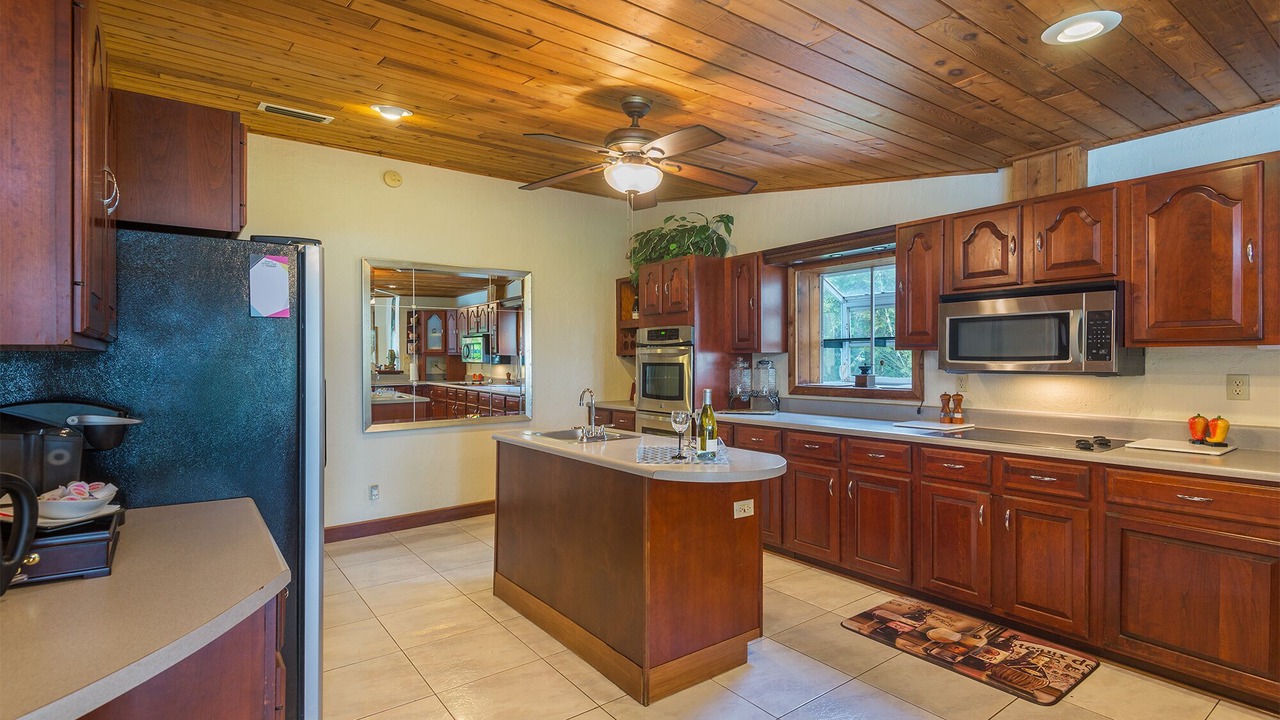 Photo of Others in Safety Harbor