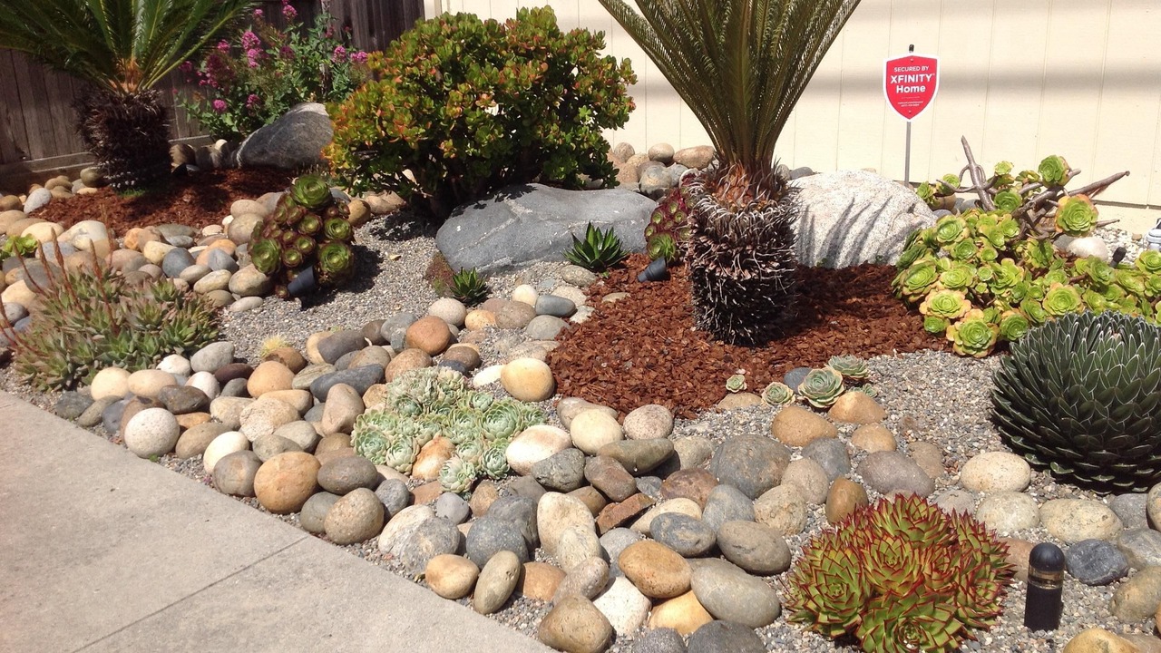 Photo of Outdoor in Seabright