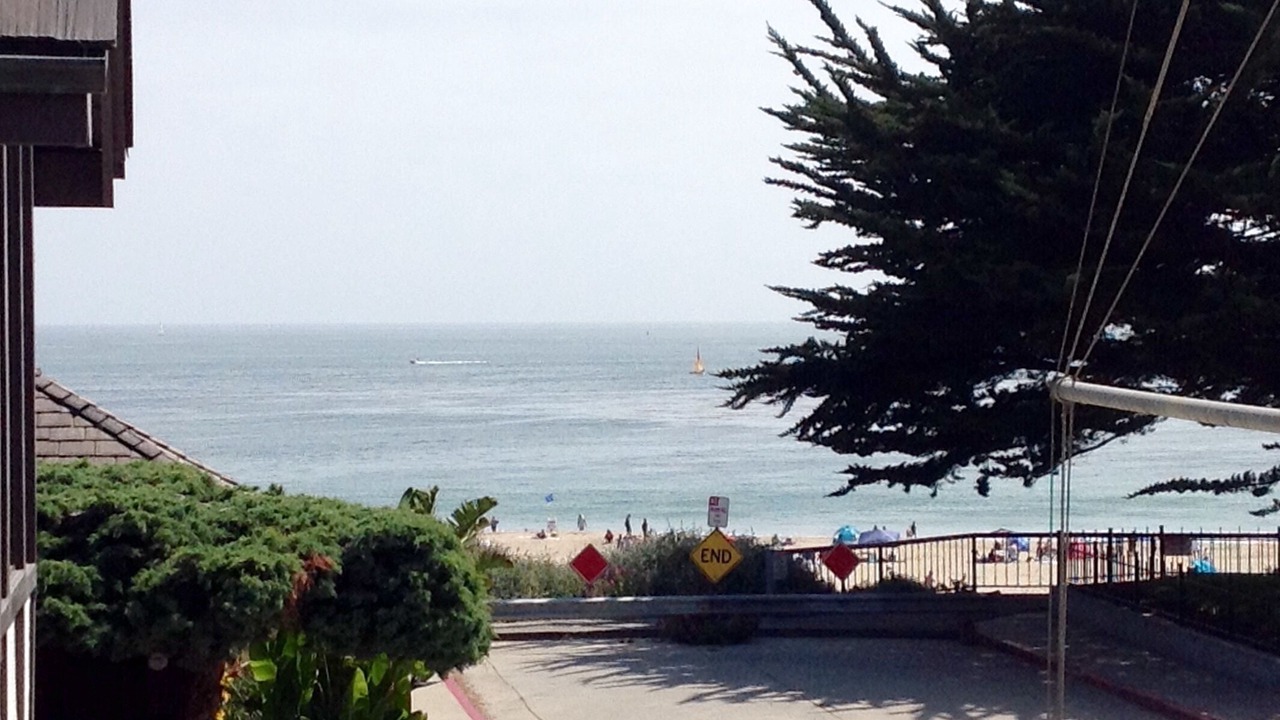 Photo of Others in Seabright