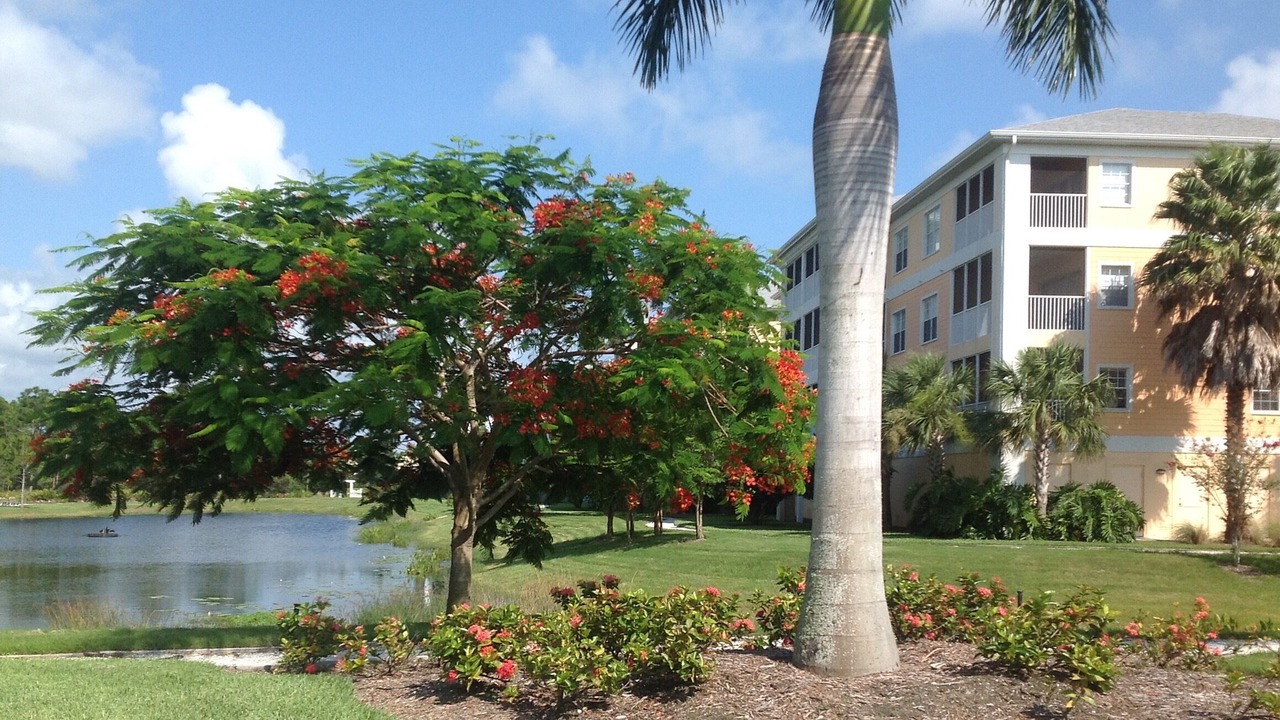 Photo of Outdoor in Cape Haze