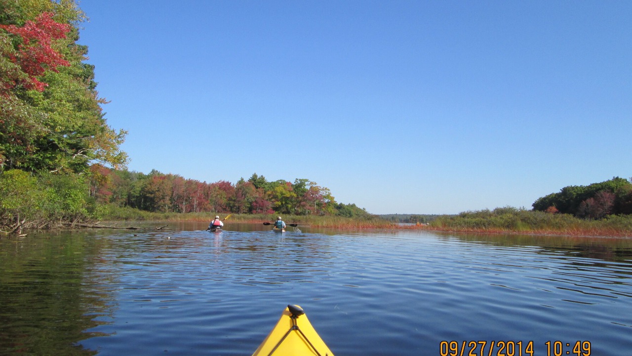 Photo of Others in Bremen