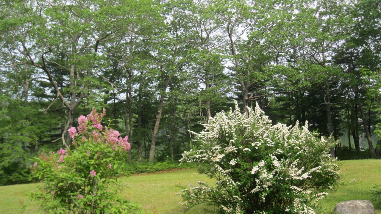 Photo of Others in Bremen