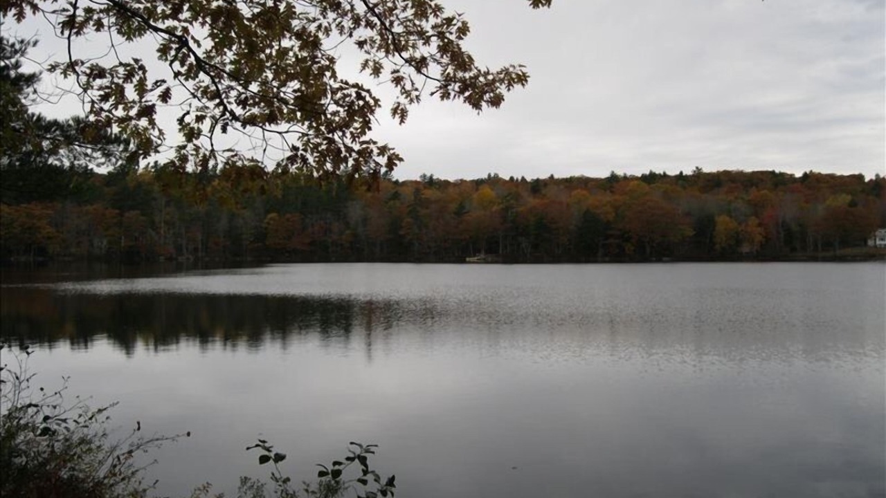 Photo of Others in Bremen