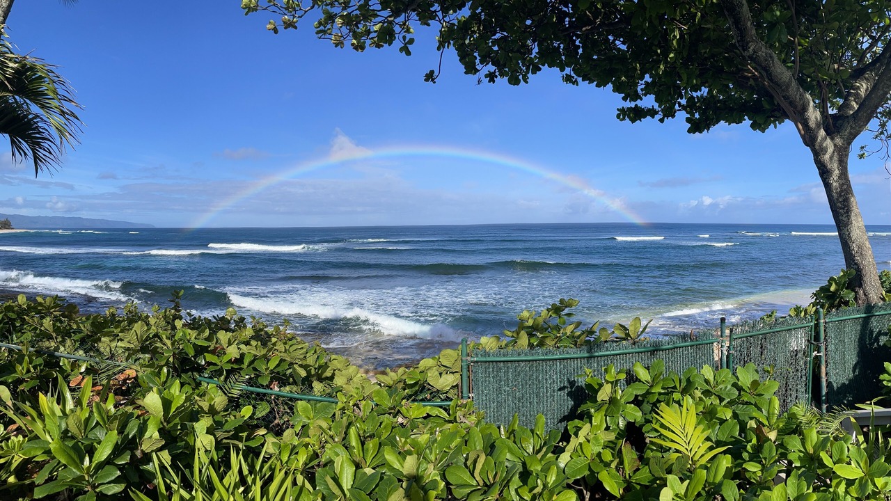 Photo of Others in Pupukea