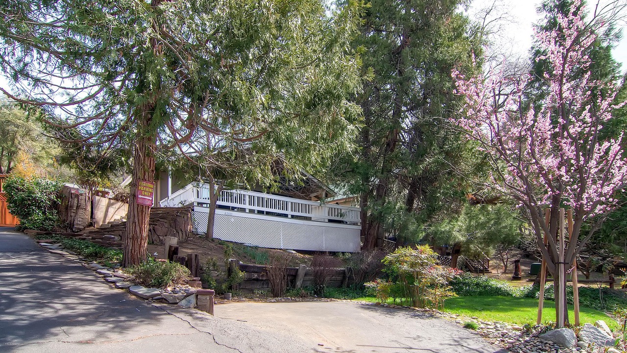 Photo of Outdoor in Yosemite Forks