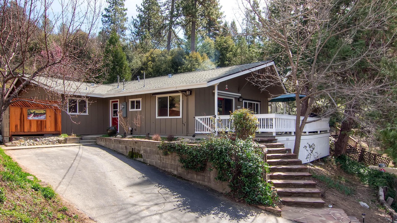 Photo of Outdoor in Yosemite Forks