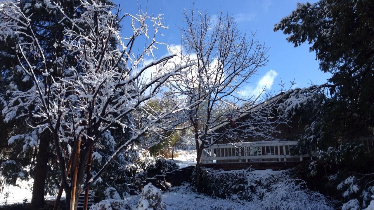 Photo of Outdoor in Yosemite Forks