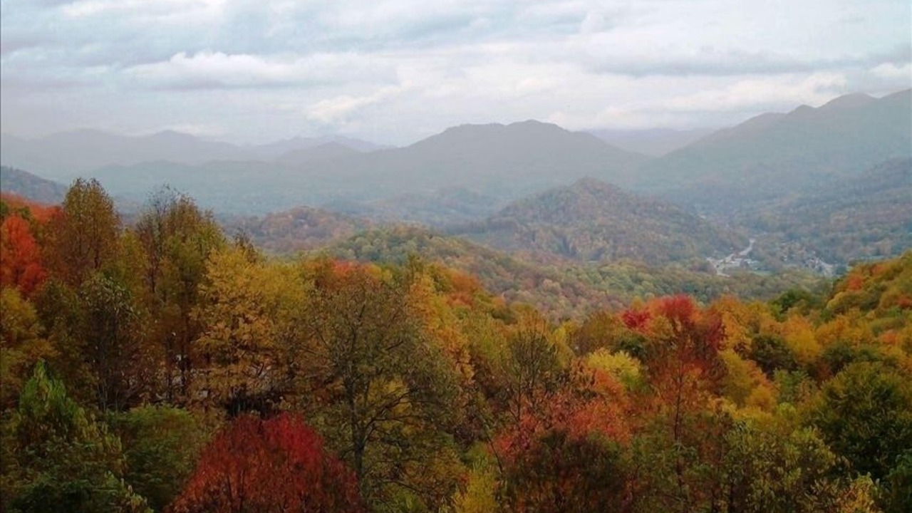 Photo of Others in Walker-In-the-Hills