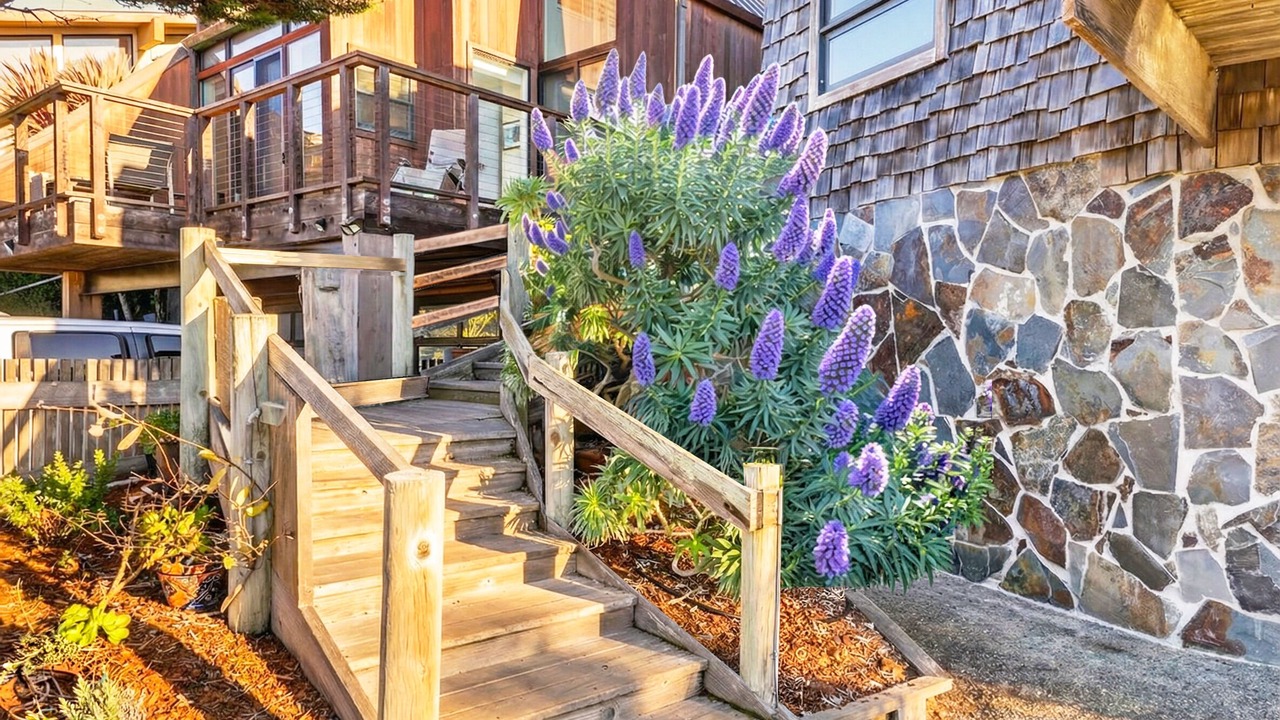Photo of Outdoor in Opal Cliffs