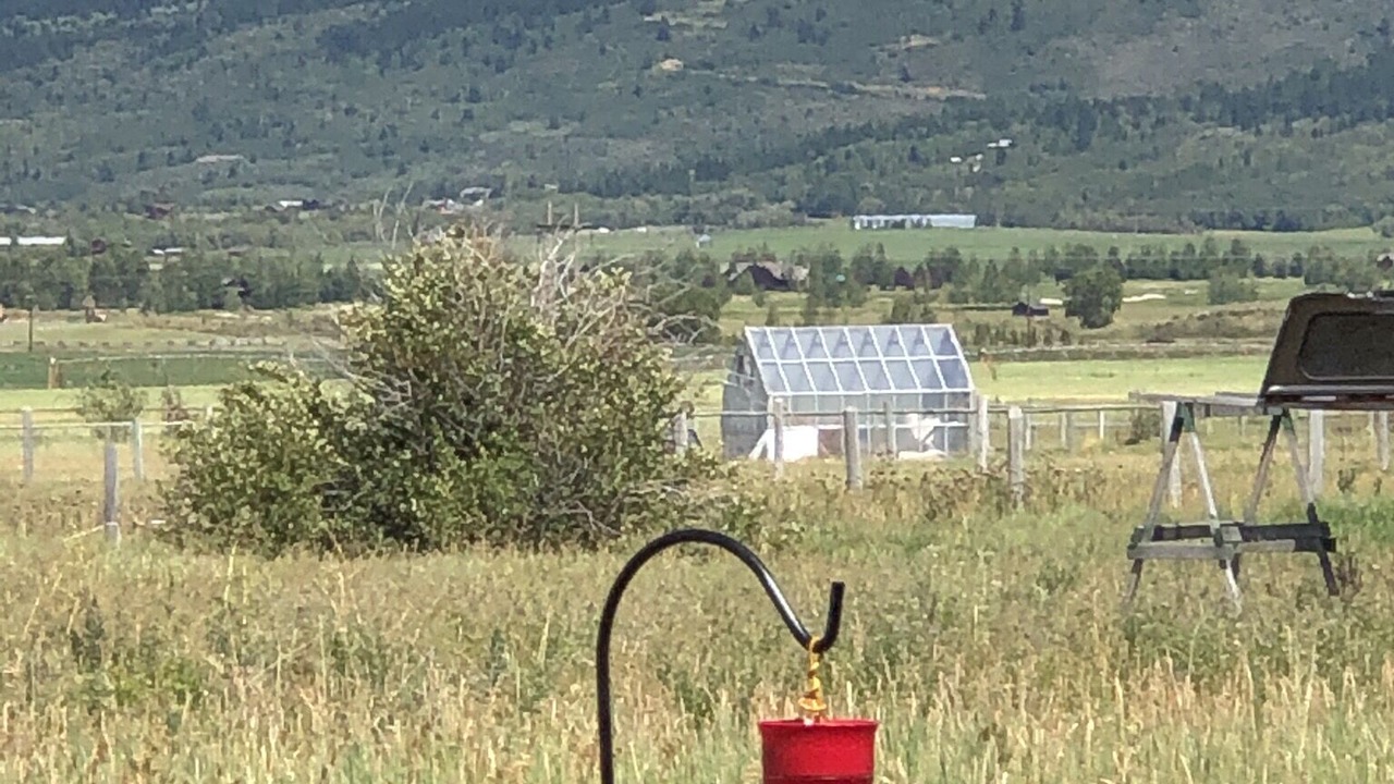 Photo of Outdoor in Victor