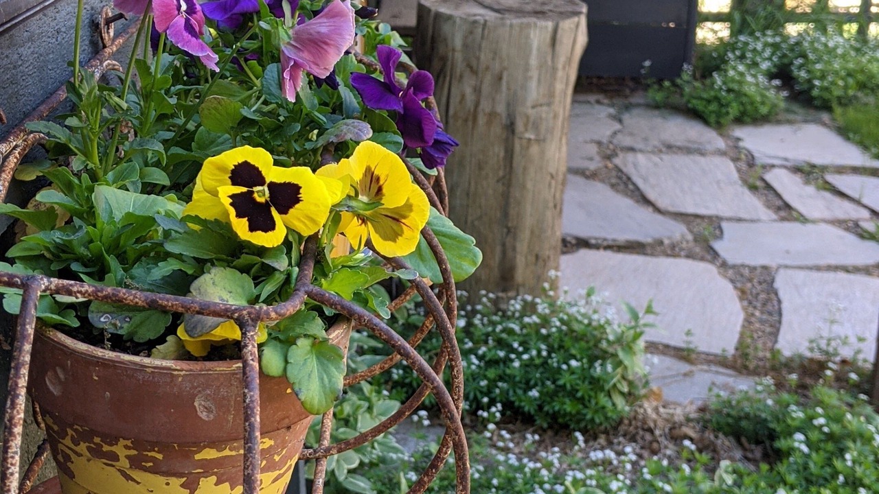 Photo of Outdoor in Hermosa
