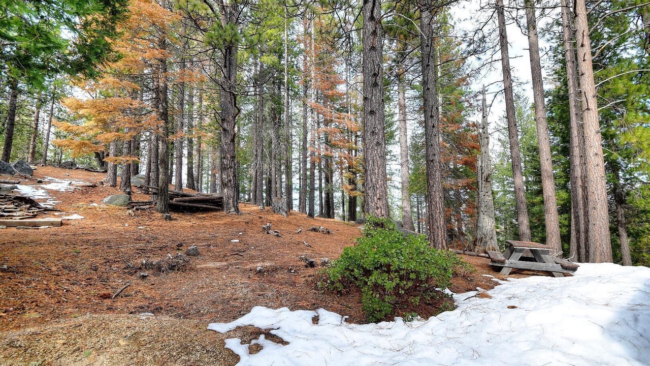 Photo of Outdoor in Yosemite West