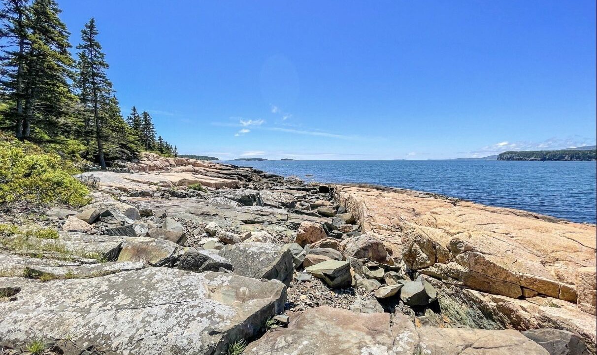 Photo of Others in Winter Harbor